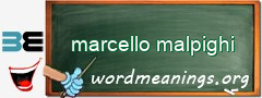 WordMeaning blackboard for marcello malpighi